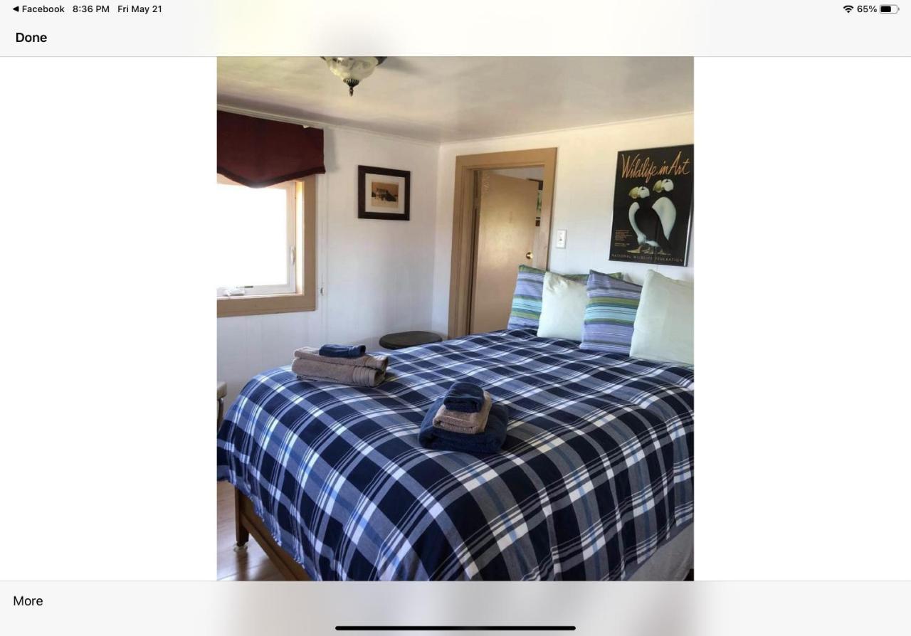 Elliston Bird Island B&B Bed And Bubble מראה חיצוני תמונה