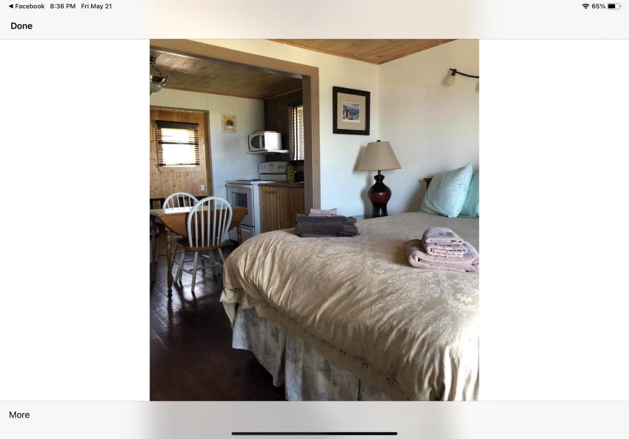 Elliston Bird Island B&B Bed And Bubble מראה חיצוני תמונה